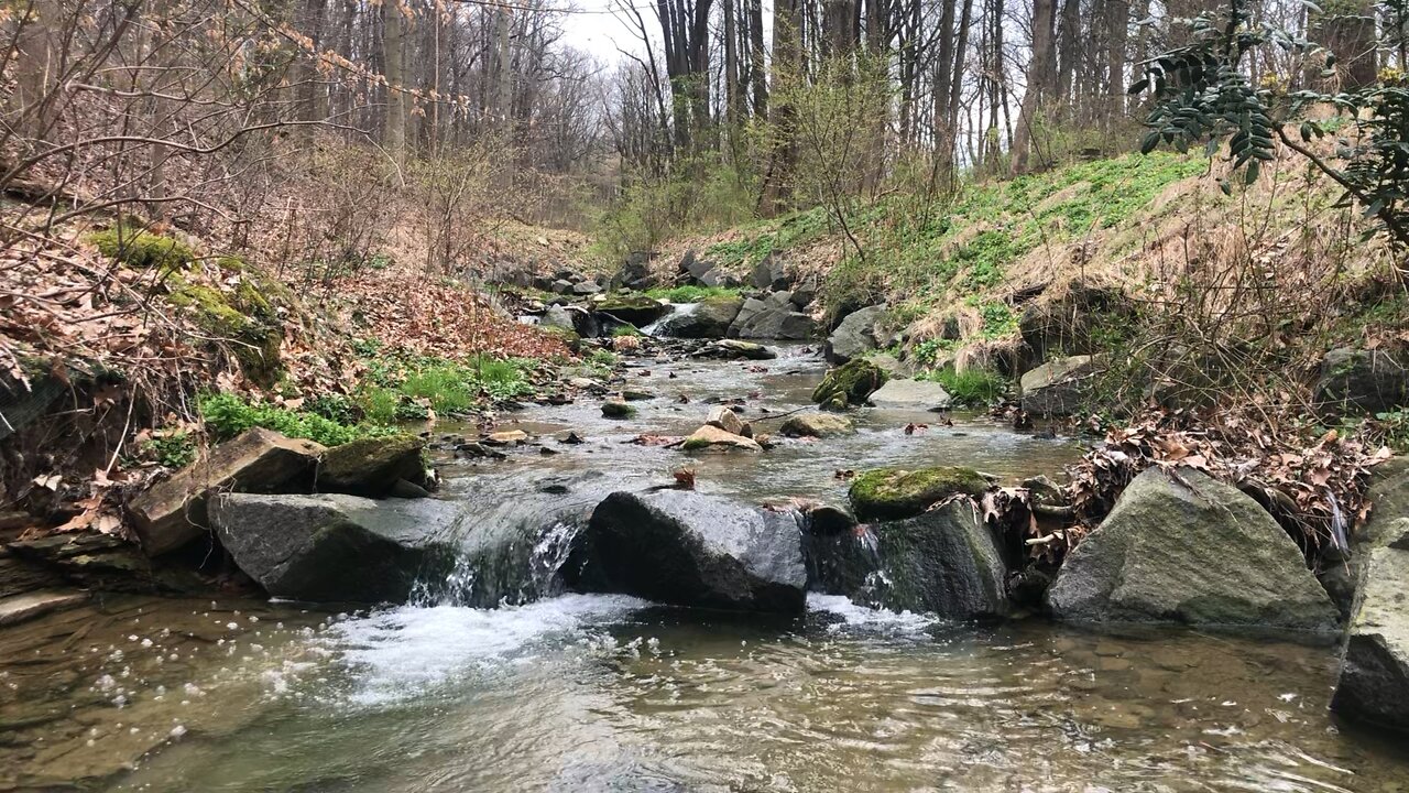 Philly hidden waterfall