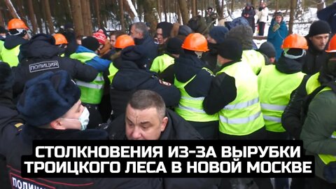 Столкновения из-за вырубки Троицкого леса в Новой Москве