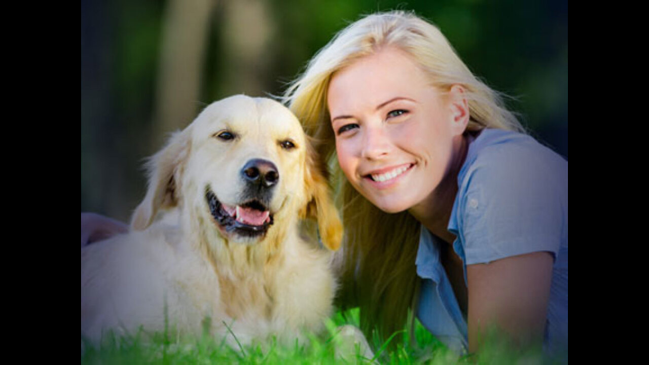learn how to training your dog behavior bad dogs any dogs this is training method click here to link. bit.ly/3NmGDQz