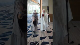 Lord of The Rings - Gandolf - FanboyExpo Orlando