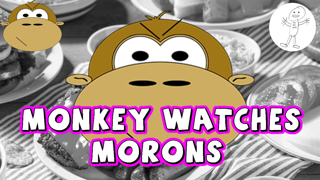 Monkey Watches Morons - MITAM