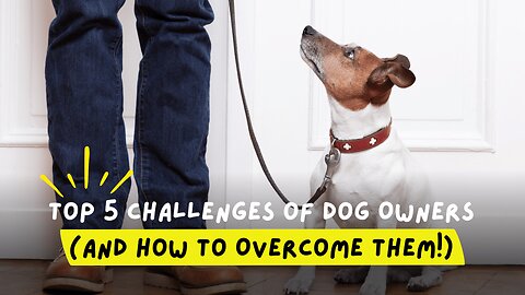 5 Biggest Challenges Dog Owners Face (and How to Solve Them!)