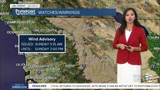 ABC 10News Pinpoint Weather for Sun. Nov. 20, 2022