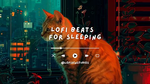 Dynamic Lofi Hip Hop | @Lofizenn |