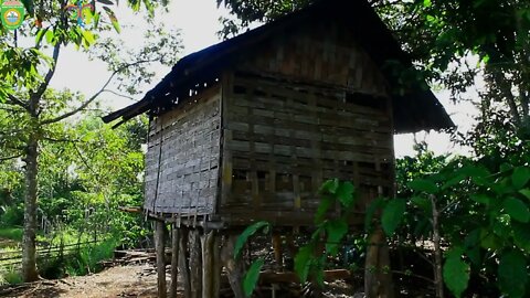 DISCIK - DITINGGAL KEKASIH - GITAR TUNGGAL BATANGHARI SEMBILAN SUMATERA SELATAN LINTANG IV LAWANG