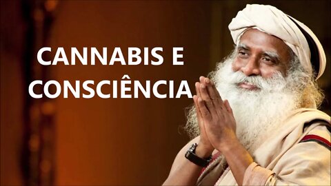 M4CONHA E CONSCIÊNCIA, SADHGURU, DUBLADO