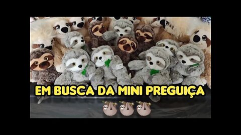 EM BUSCA DA MINI PREGUIÇA 🦥🦥🦥