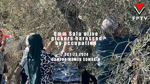 Olive Harvesters in Umm Safa, NE of Ramallah, harassed by Zionist occupation.