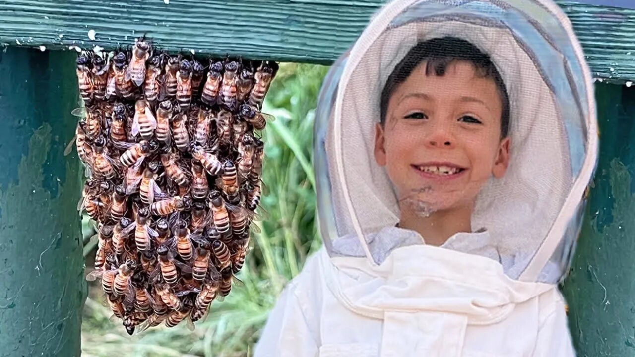 we found the tiniest SWARM of bees in the park. Here's what happened...