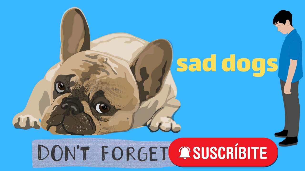 sad dogs lovers