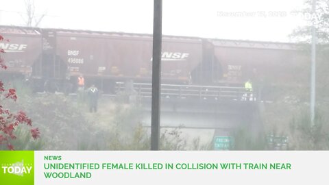 Unidentified female killed in collision with train near Woodland