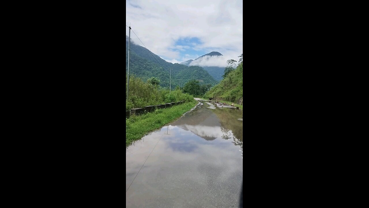 Mithun(wild buffalo) encounter on mountain ride