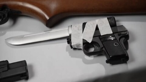 Totally accurate gun logic (definitely approved by the government)