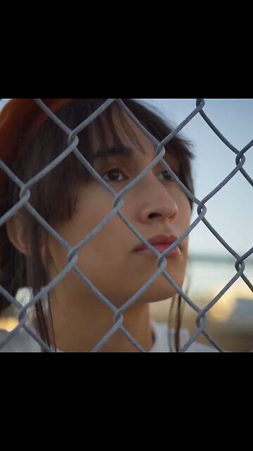 Transgênero, o que é isto?