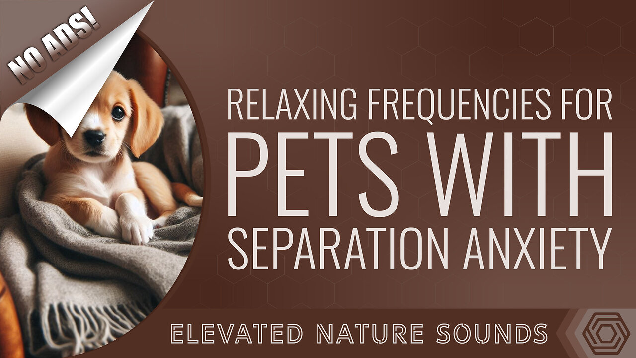 Relaxing Frequencies for Pets with Separation Anxiety NO ADS