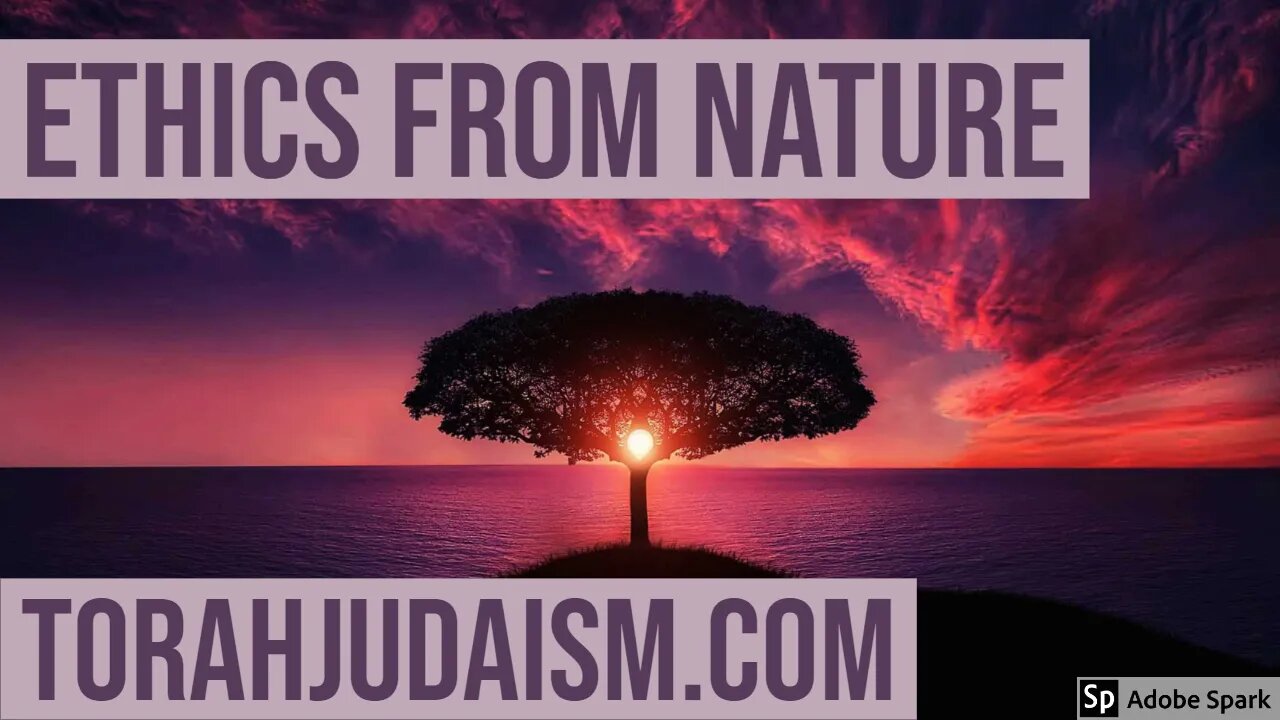 Torah Ethics from Nature