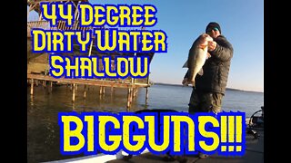 44 degree dirty water means shallow water BIGGUNS!!!