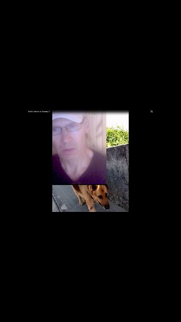 Public service vs Tyranny - 2