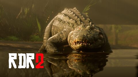 Red Dead Redemption 2: Feeding time (Gator vs Wild Boar)