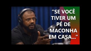 PLANTAR MACONHA NÃO DÁ CADEIA | Super PodCortes