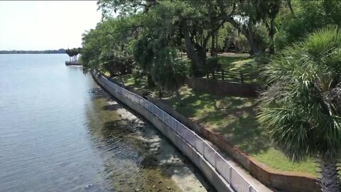 Walking Club: Exploring Philippe Park in Safety Harbor