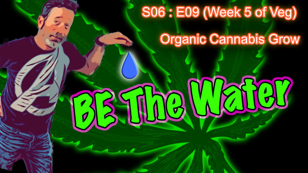 E06 E09 Organic Cannabis Grow (Day #57) Week 5 of Veg || Caring for a Runt || BlueMat Soil Meter