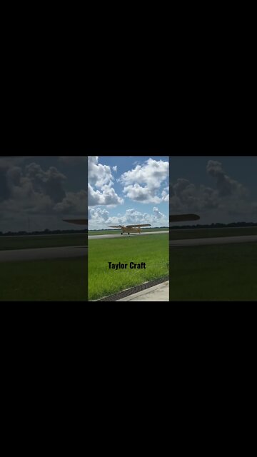 A stroll in the park #airplanesdaily #aviationlover #eaa #taylorswift