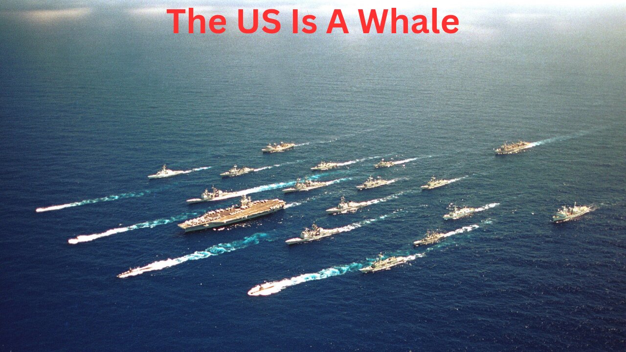 The US is a Whale