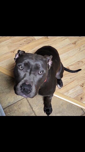 Yikes - short hiatus