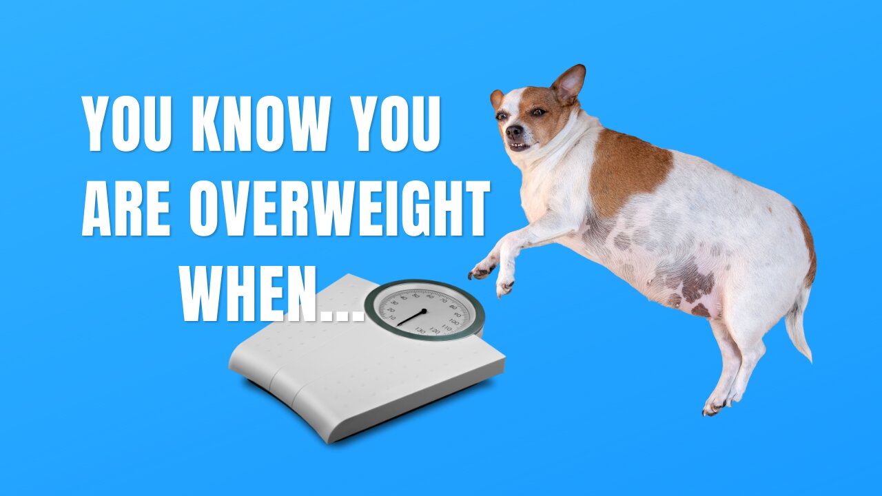 You May Be Overweight When... #shorts