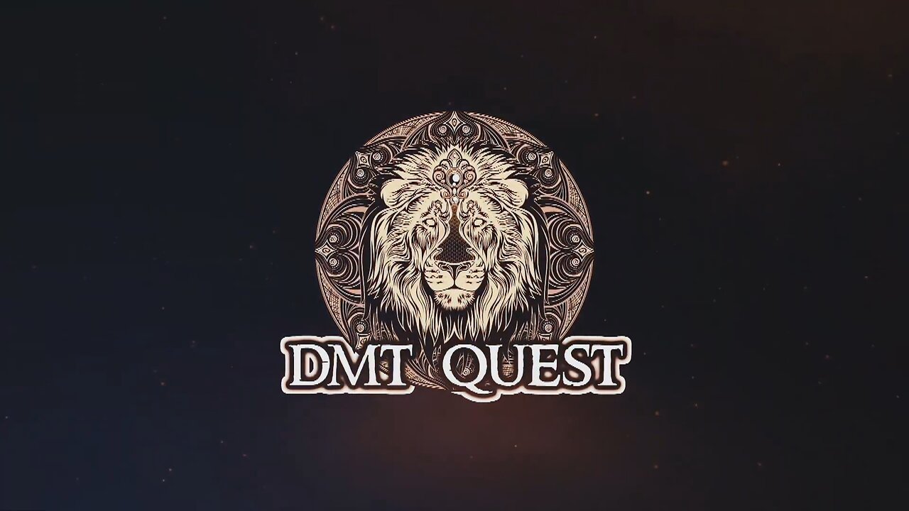 DMT Quest - Documentary