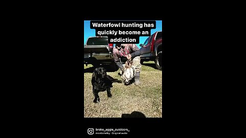 Duck hunt