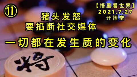 KWT2164(11)一切都在发生质的变化-猪头发怒要掐断社交媒体20210727-13【悟里看世界】