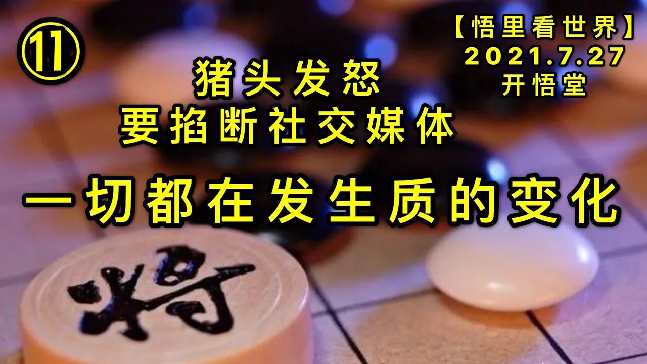 KWT2164(11)一切都在发生质的变化-猪头发怒要掐断社交媒体20210727-13【悟里看世界】