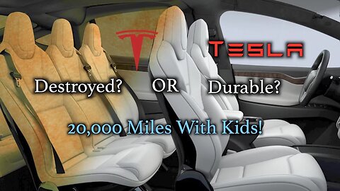 Tesla White Seats: Durable or Destroyed? 20,000 miles with kids!