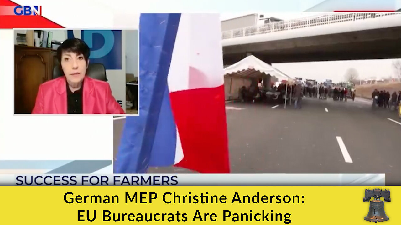 German MEP Christine Anderson: EU Bureaucrats Are Panicking