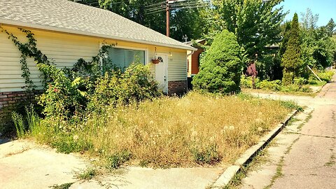 Her Recent BACK SURGERY Made Yard Care IMPOSSIBLE