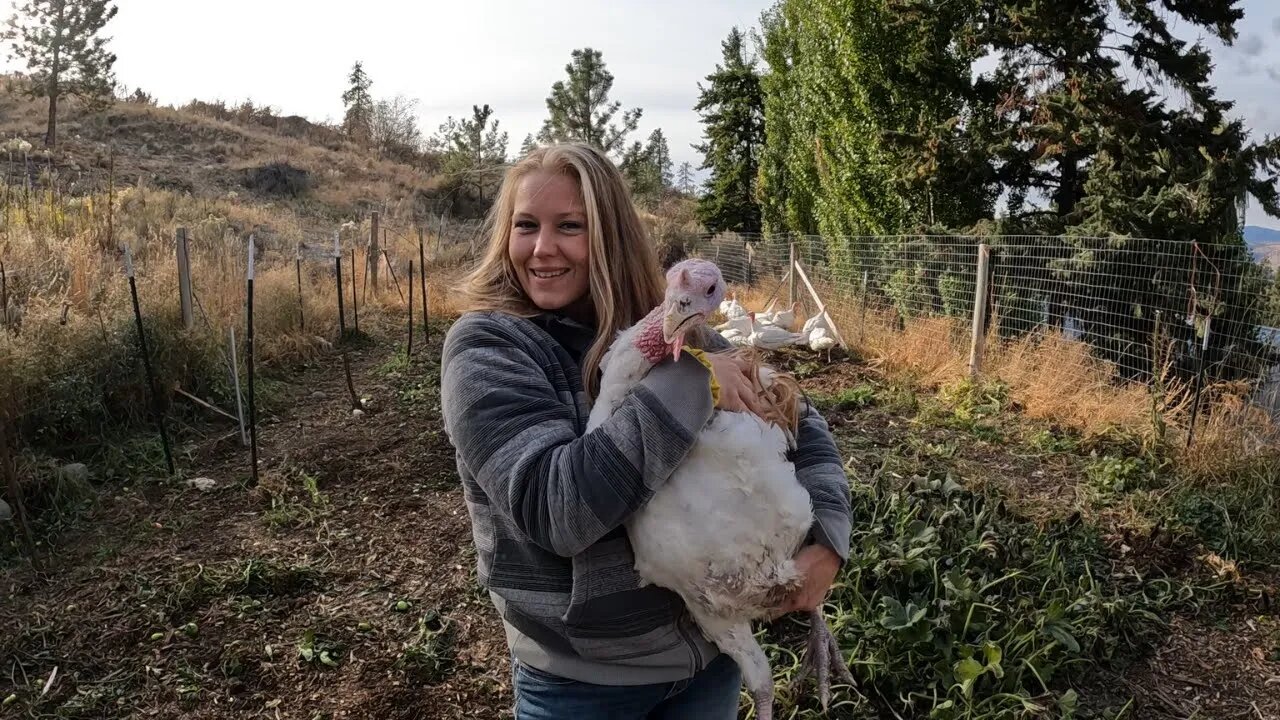 Our Secret for Effortless GARDEN Cleanup!