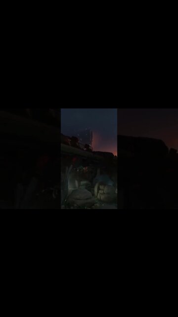 Hunting Headcrabs & Ant Lions Half Life Alyx VR