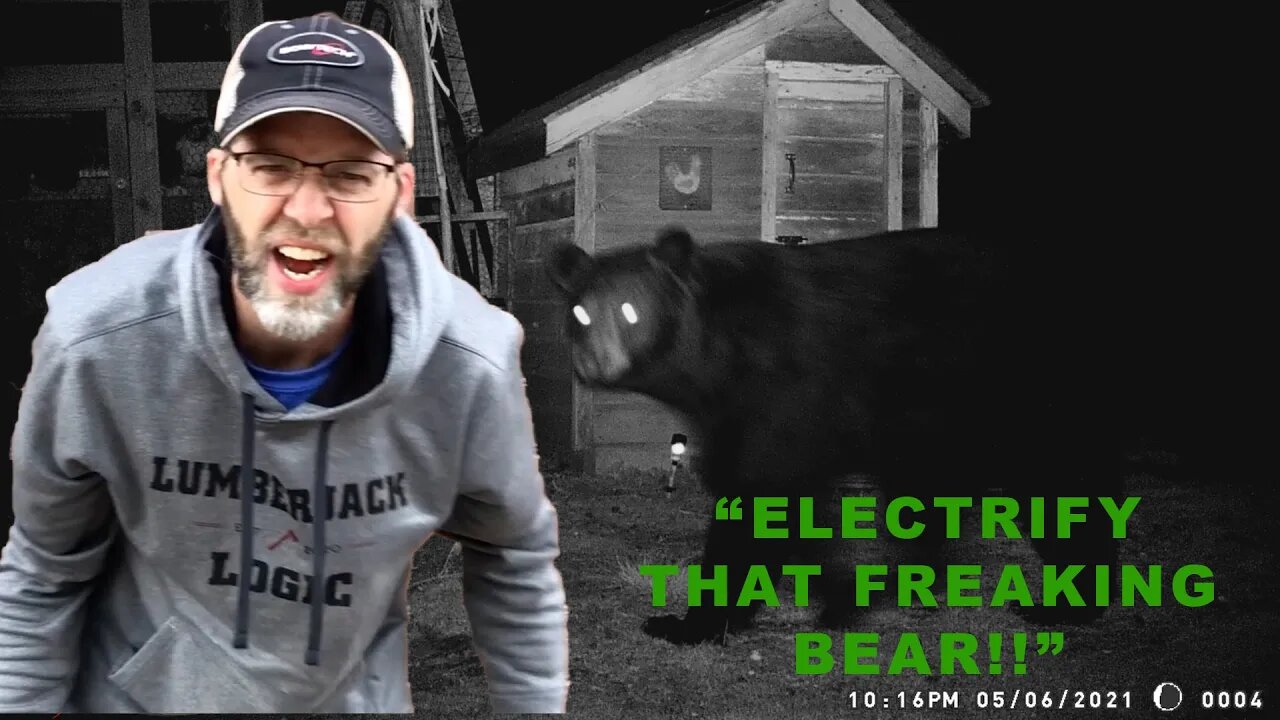 ELECTRIFY THAT FREAKIN’ BEAR!!! How to deal with a problem bear.