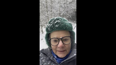 Wild life in the forest