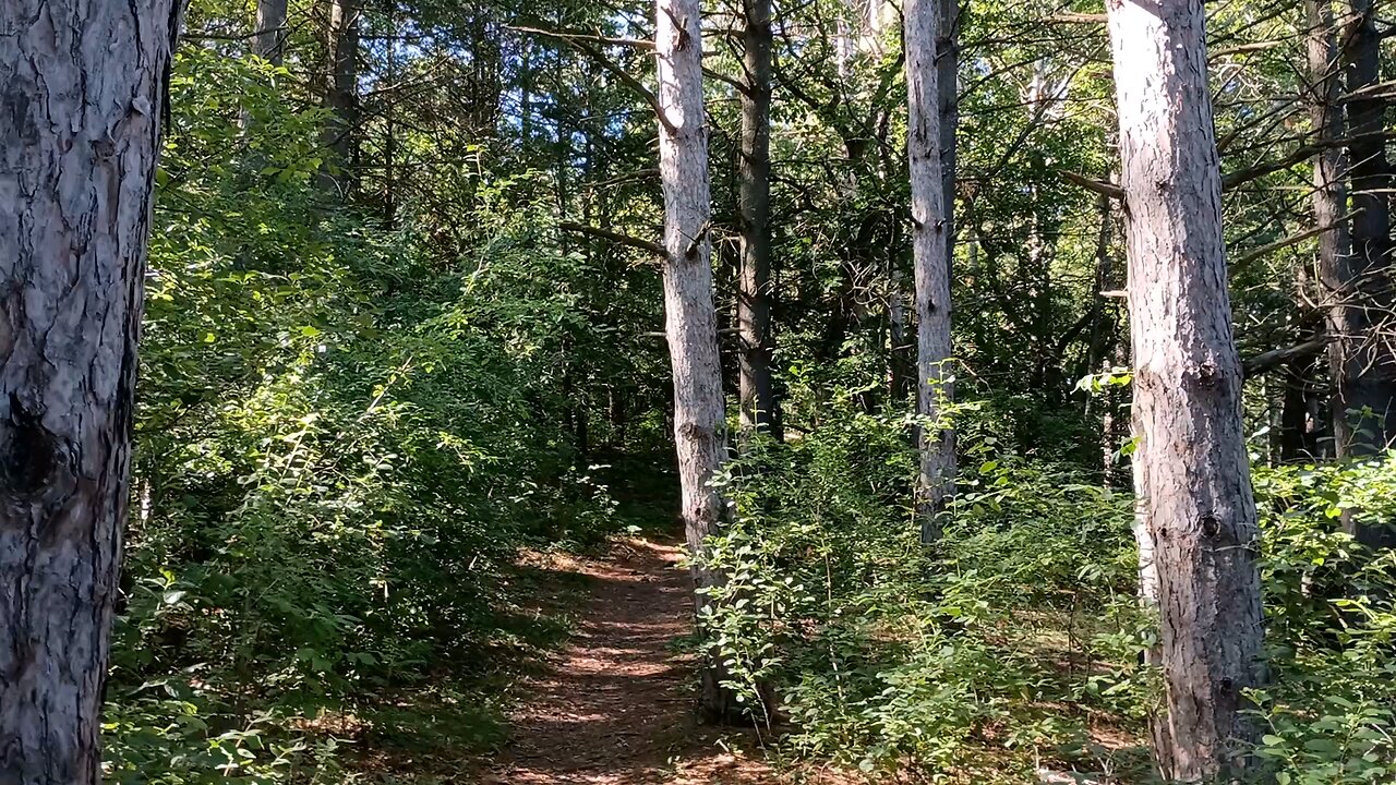 Perch Lake Hike "Lake View" Trail