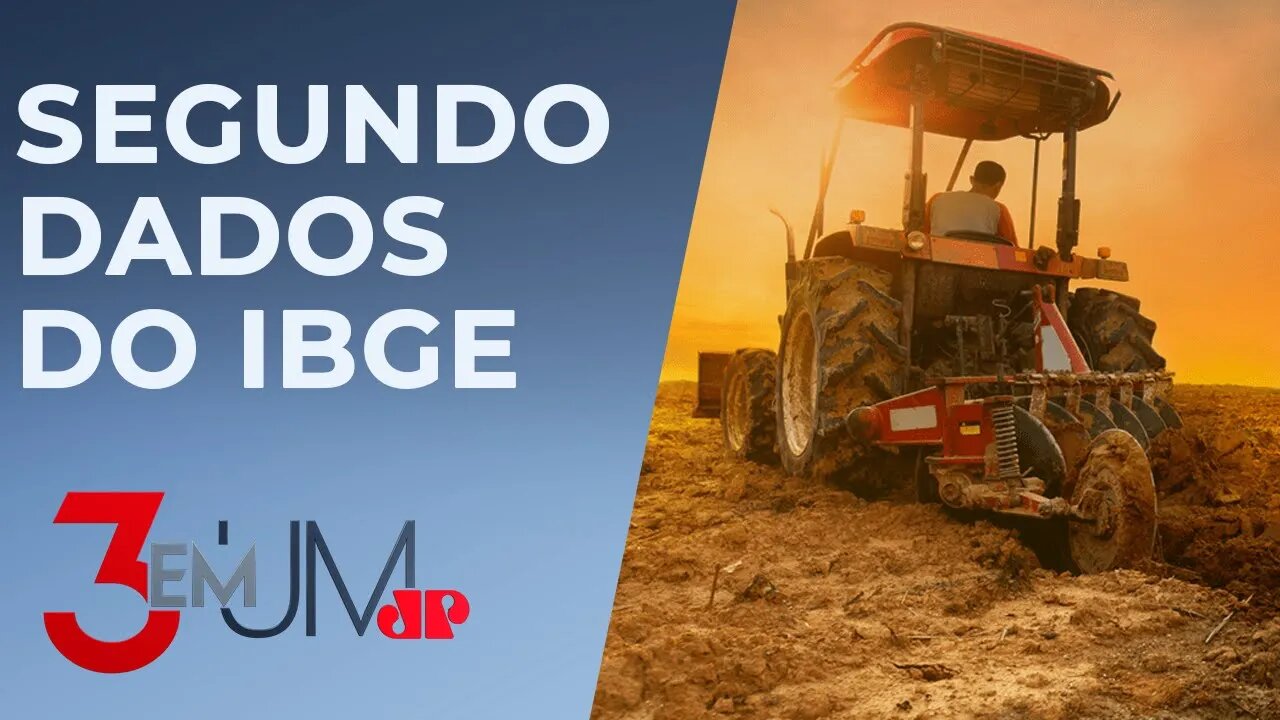 Agro eleva PIB, renda, população e diminui desigualdade