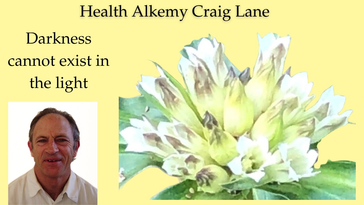 Craig Lane Health Alkemy - Terpene-Tyne, Octopus in the Intestines? & The Observer Virus?