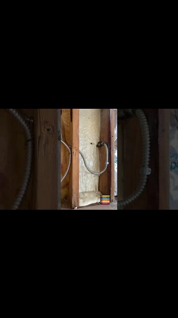 #shorts #2022 funny,prank,funjokes,dad jokes,funny memes,funny video,fun,laughing,funny animal,knock