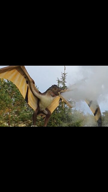 Pterosaur at Dinosaur Park