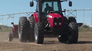 Local farm first to grow hemp in Idaho