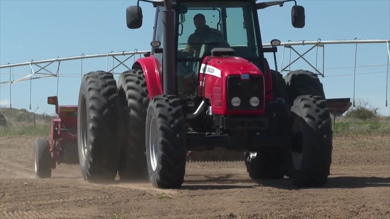 Local farm first to grow hemp in Idaho