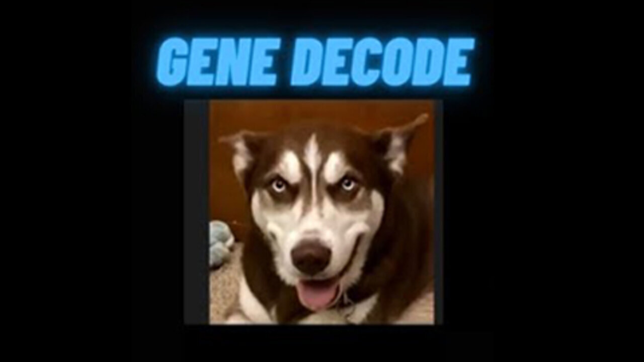 Gene Decode Explosive Intel On Deep State & Gesara