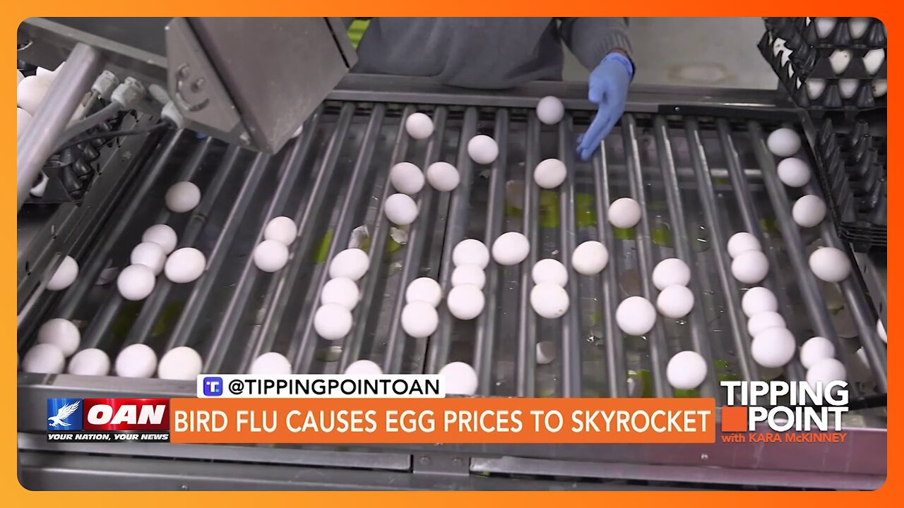 Tipping Point - Bird Flu Causes Egg Prices To Skyrocket